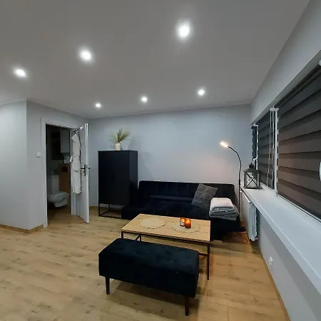 Apartament W Centrum Jastrzębie Zdrój Exterior foto
